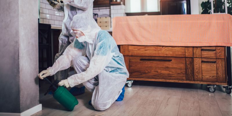 Dedetização em Apartamento Como Funciona em Santa Maria: Confira 4 Passos Dedetização em Apartamento Como Funciona em Santa Maria: Confira 4 Passos