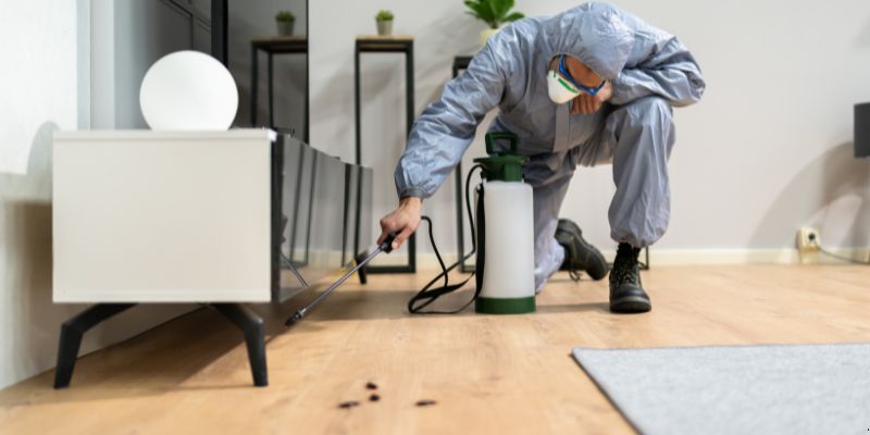 Quanto Tempo Dura Uma Dedetização em Santa Maria? Confira! Quanto tempo dura uma dedetização em Santa Maria?